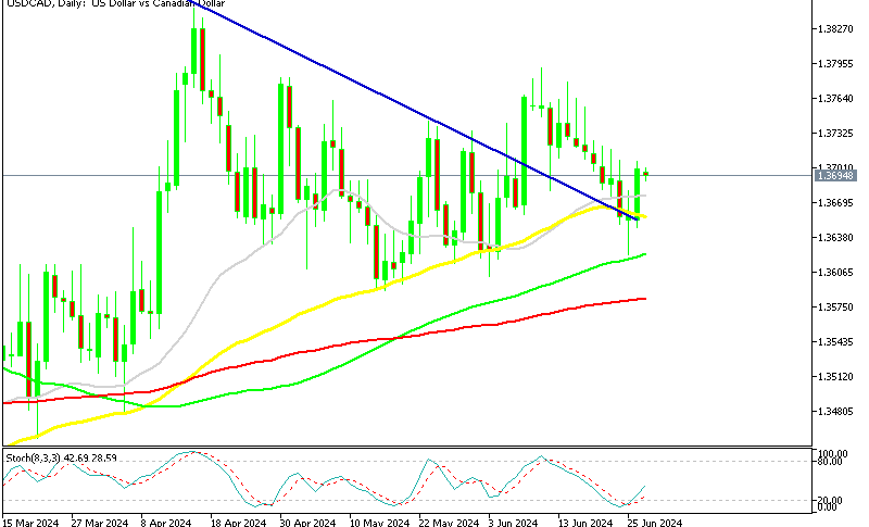 USD/CAD Daily Chart