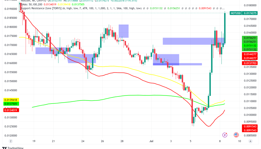 Notcoin (NOT) Soars Amid Crypto Market Rebound: Can it Sustain the Gains?