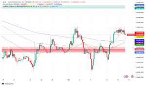 Solana-Based Memecoin Bonk Flips WIF, Briefly Enters Bullish Territory
