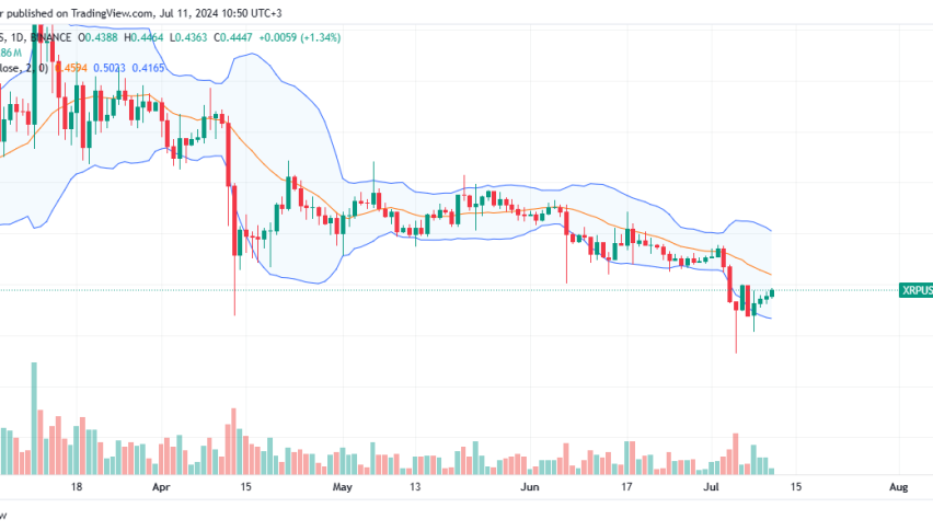 XRP Daily Chart for July 11