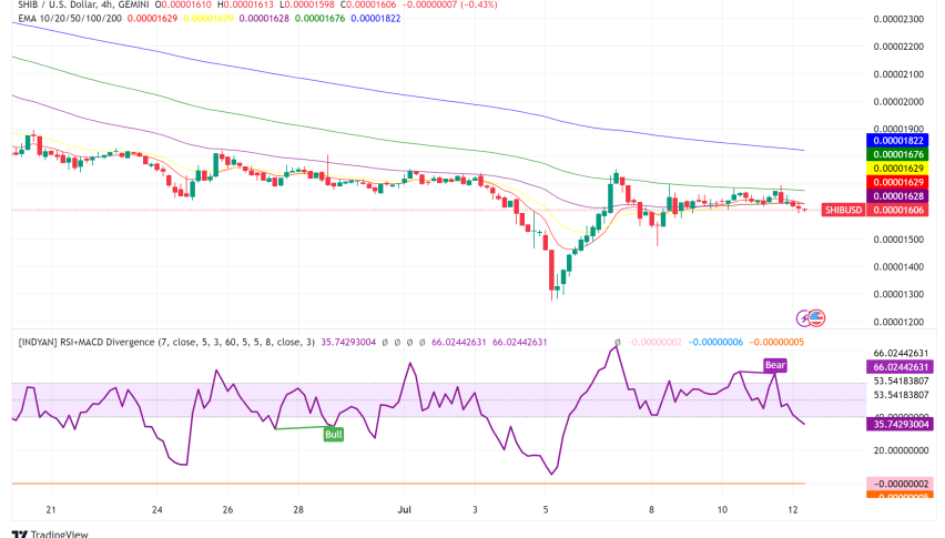 Shiba Inu (SHIB) Price Stalls Despite Recent Burn Rate Surge