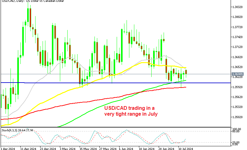 USD/CAD Daily Chart