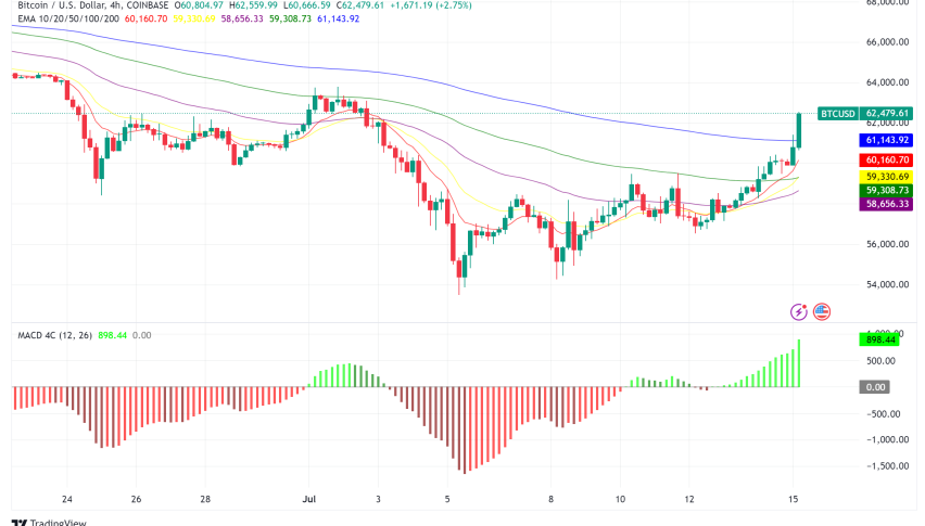 Bitcoin (BTC) on the Rebound: Whales Accumulate, Price Recovers After Slump