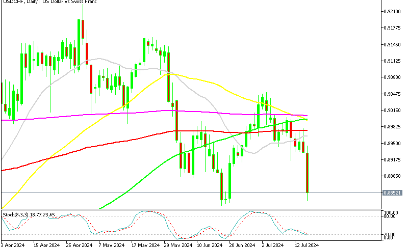 USD/CHF Daily Chart