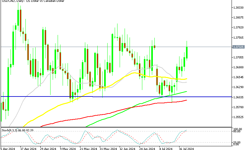 USD/CAD Daily Chart Indicates Bullish Momentum