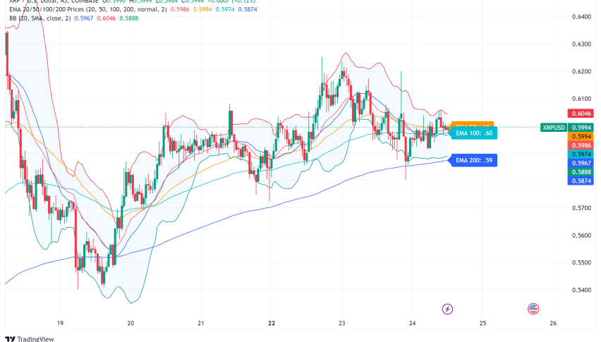 XRP Rallies: Will the Whales Steer the Price Higher?