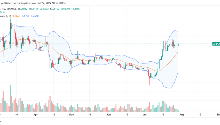 XRP Daily Chart for July 29
