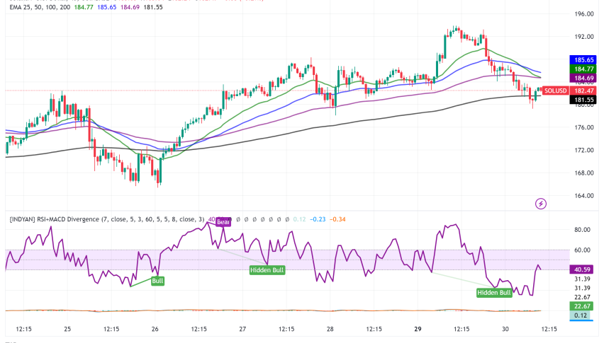 Solana Surges Past Ethereum in Transaction Fees, Igniting Bullish Sentiment