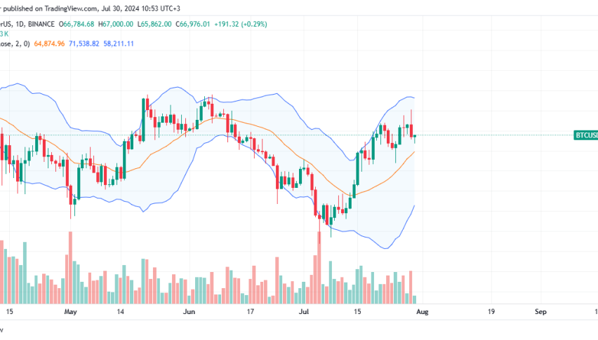 Bitcoin Daily Chart for July 30
