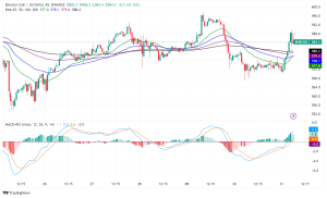 Binance Coin (BNB) Rebounds Amidst SEC's Shifting Stance