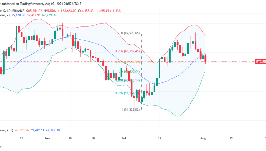 Bitcoin Slumps Despite Whales Accumulation: Next Stop
