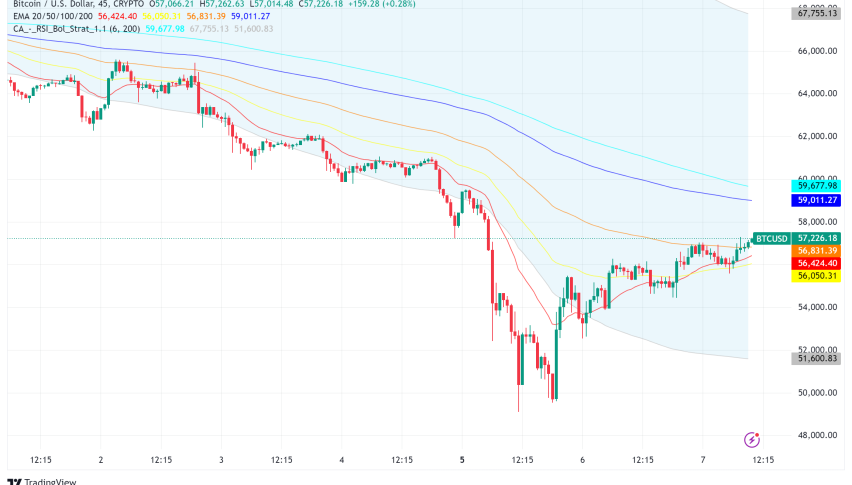 Bitcoin Price Swings After Weekend Bloodbath, Analysts Divided on Future