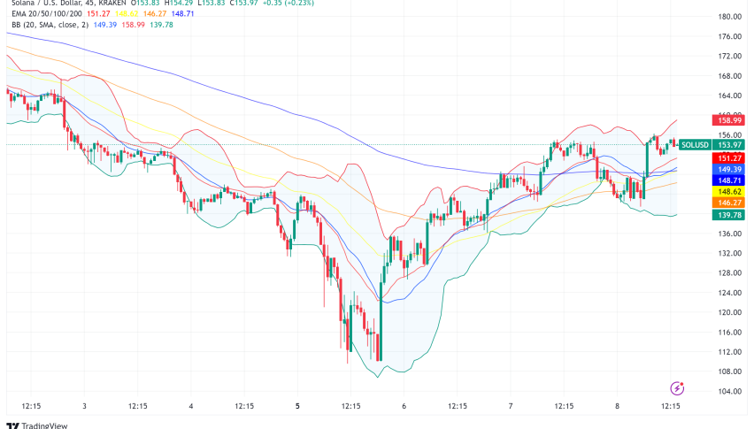 Solana (SOL) Rides Bullish Wave, Faces Critical Test