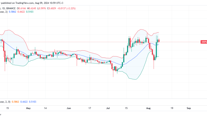 XRP Daily Chart for August 9
