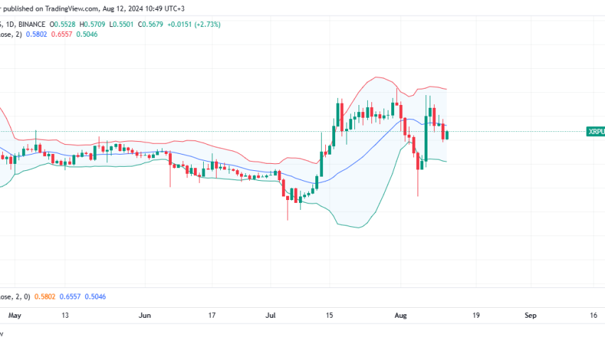XRP Daily Chart for August 12