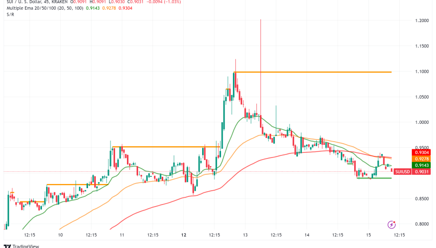 Sui Surges 40% in a Week, But Can It Maintain Momentum?