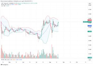 XRP Daily Chart for August 20