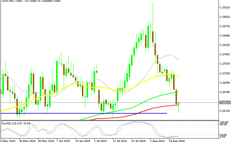 USD/CAD Daily Chart is Oversold