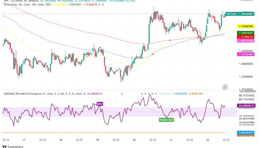 Dogwifhat's Breakout: A Closer Look at the Rising Meme Coin