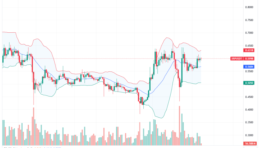 XRP Daily Chart for August 22
