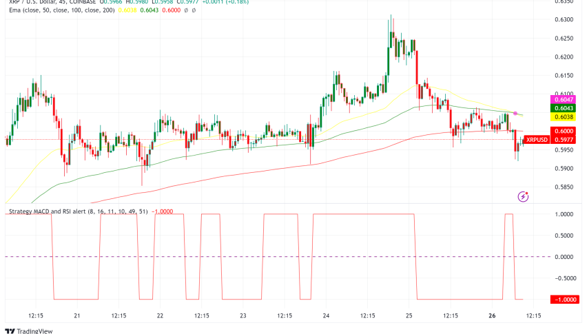 XRP on the Move: Whale Emerges, Price Struggles at Resistance