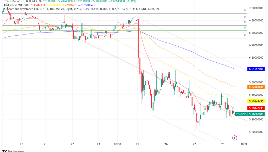 TON Network Halts Block Production Amidst DOGS Memecoin Frenzy