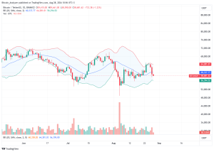 Bitcoin Daily Chart for August 28