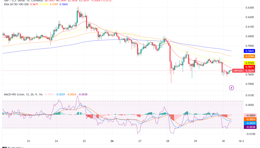 XRP in the Spotlight: Potential Price Surge, Lawsuit Update, and Market Analysis
