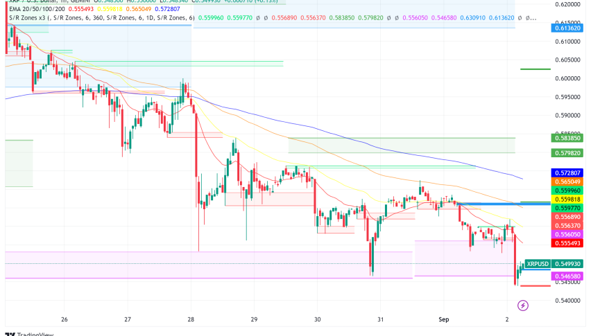 XRP: A Potential Game-Changer in Cross-Border Payments