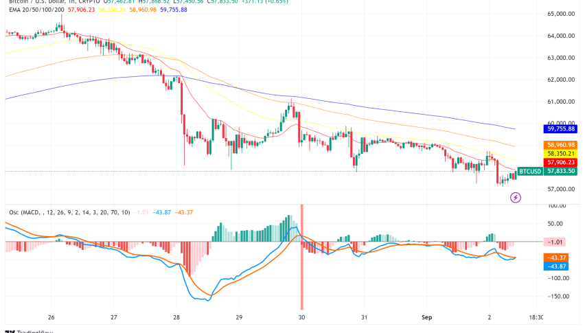 Bitcoin Whales Accumulate as Market Sentiment Dips