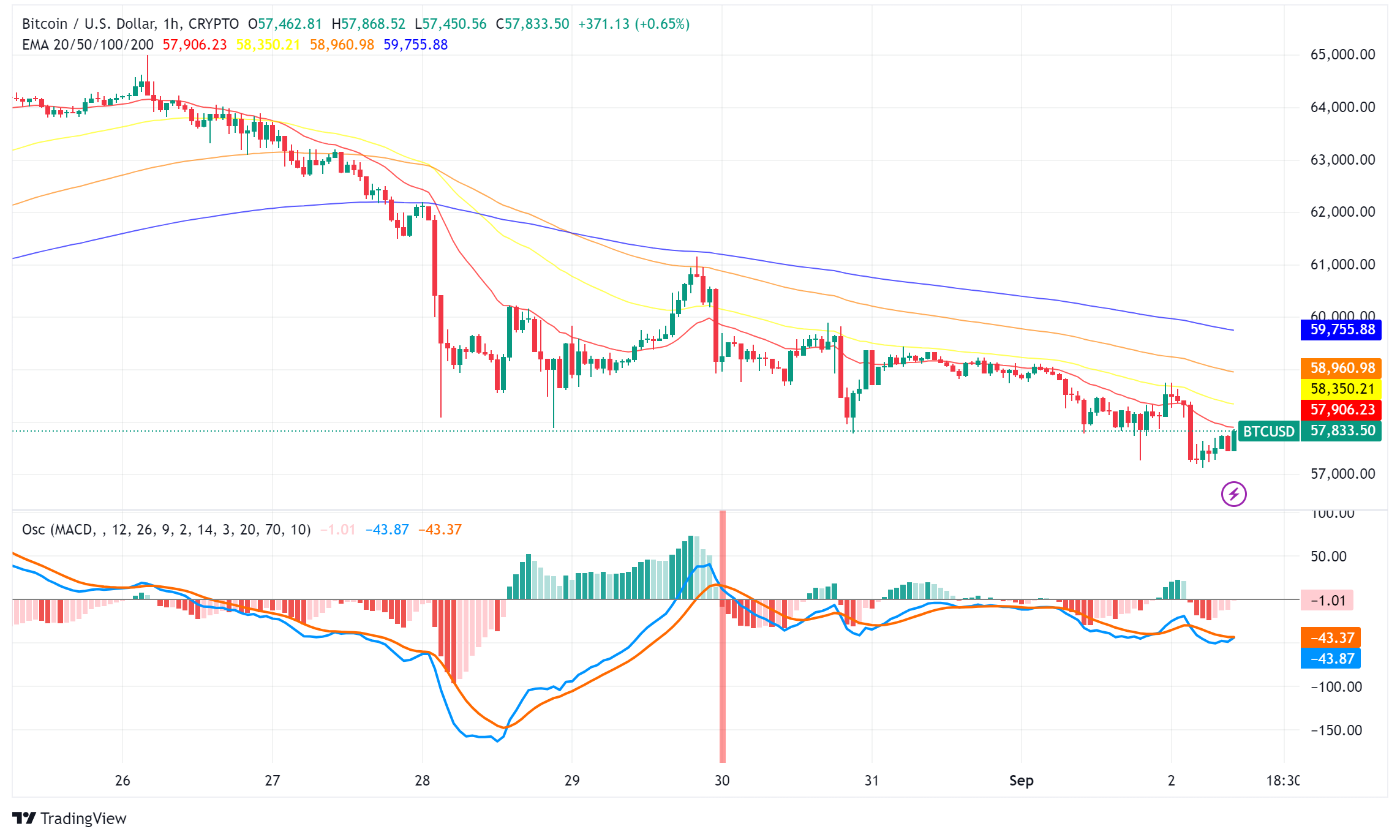 Bitcoin Whales Accumulate as Market Sentiment Dips