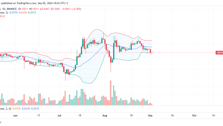 XRP Daily Chart for September 2