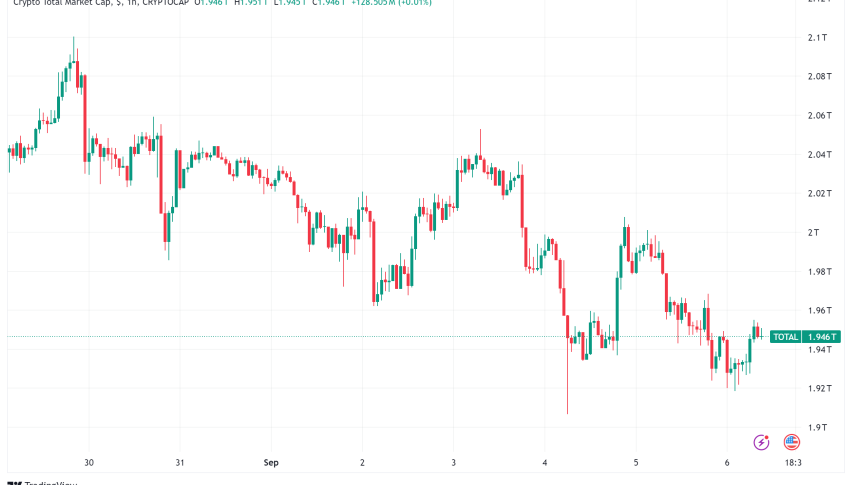 Crypto Market Dynamics: Social Narratives, Whale Activity, and Trending Tokens