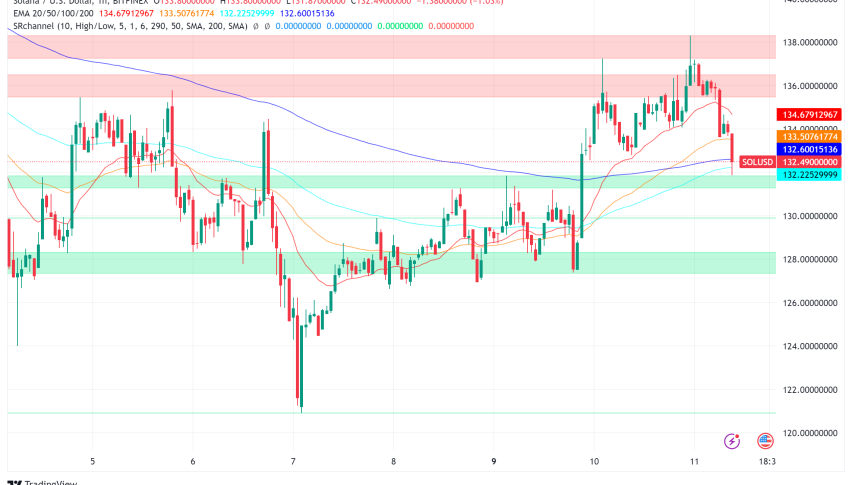 Solana (SOL) Reaches Record Daily Users Amid Price Volatility