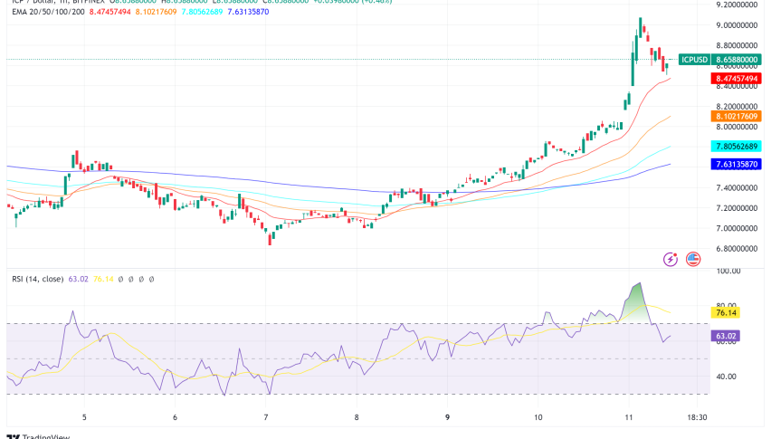 Internet Computer (ICP) Surges 11% Amid Crypto Market Correction