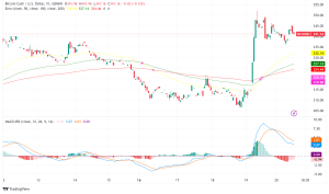 Bitcoin Cash (BCH) Surges: Analysts Predict Potential for Further Gains