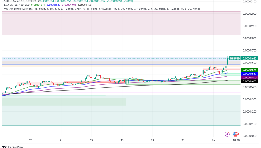 Shiba Inu (SHIB) Surges Over 100% in 2024, Poised for Historic October Run
