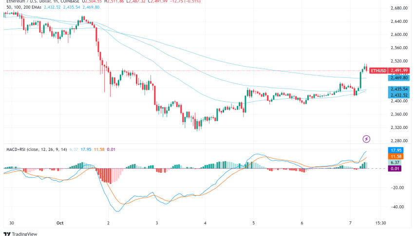 Ethereum Whales Retreat as Market Sentiment Shifts