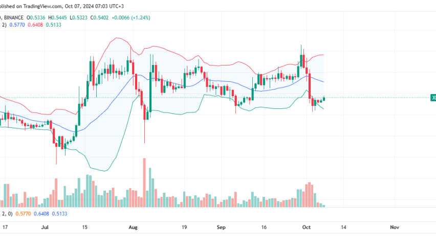 XRP Daily Chart for October 7
