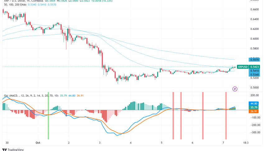 XRP's ETF Prospects Clouded by SEC Appeal, Election Uncertainty