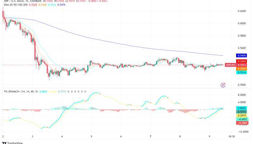 XRP Sees Renewed Interest as Canary Capital Files for XRP ETF