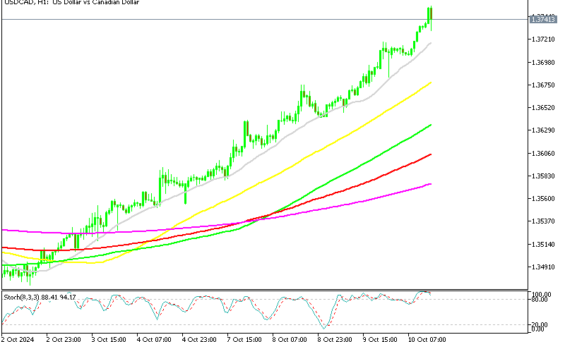 USD/CAD H1 Chart