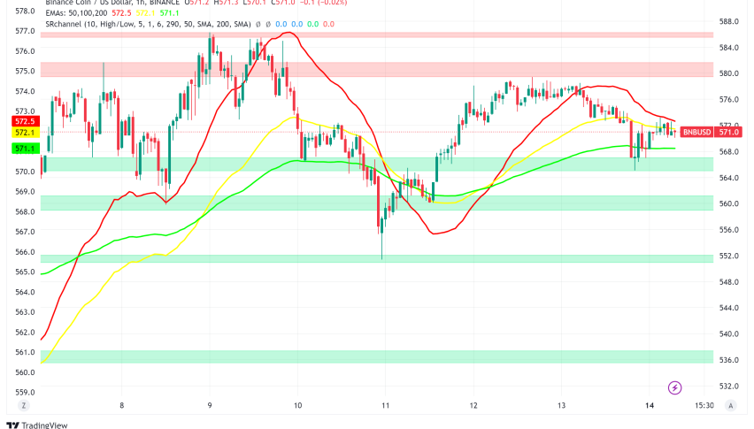 BNB Price Holds Steady Despite Plummeting Network Activity and Launchpad Concerns