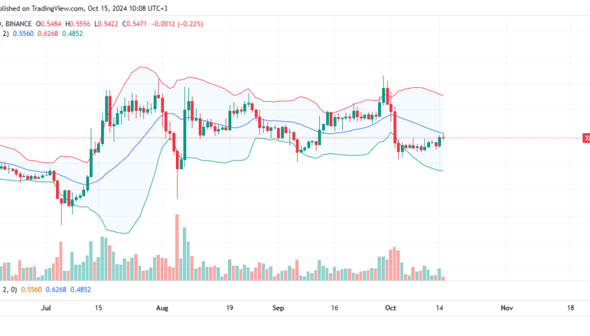 XRP Daily Chart for October 15