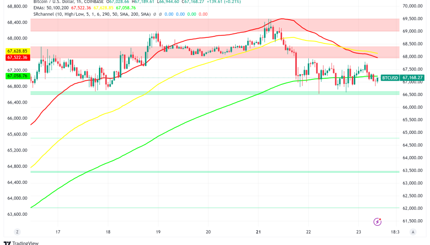 Bitcoin Shows Resilience Amid Market Volatility, Backed by Strong Fundamentals and Institutional Support