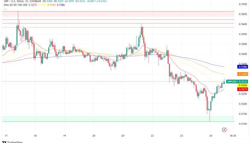 XRP Faces Crossroads as Regulatory Battle Intensifies and Markets Show Mixed Signals