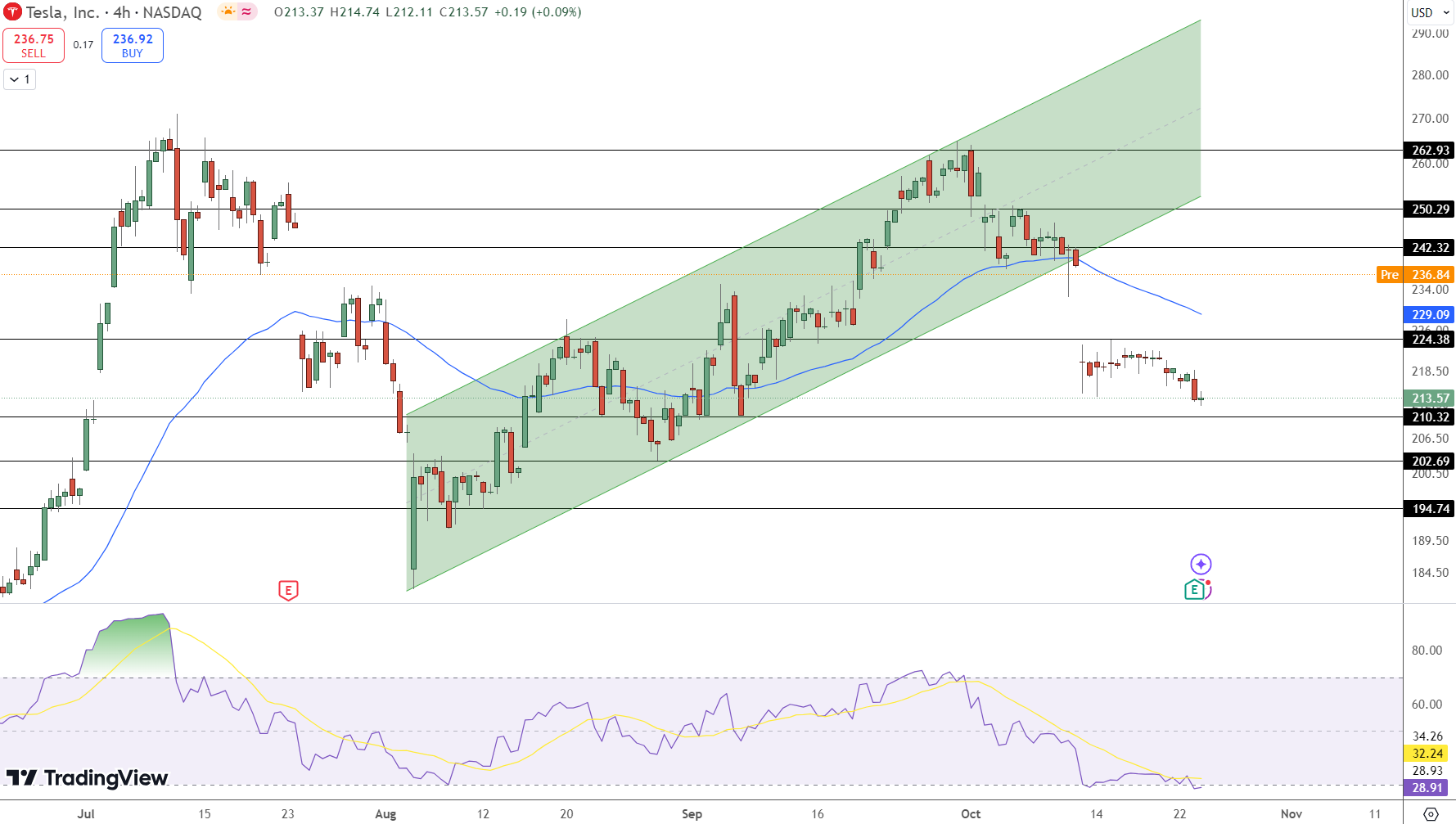 TESLA Price Chart