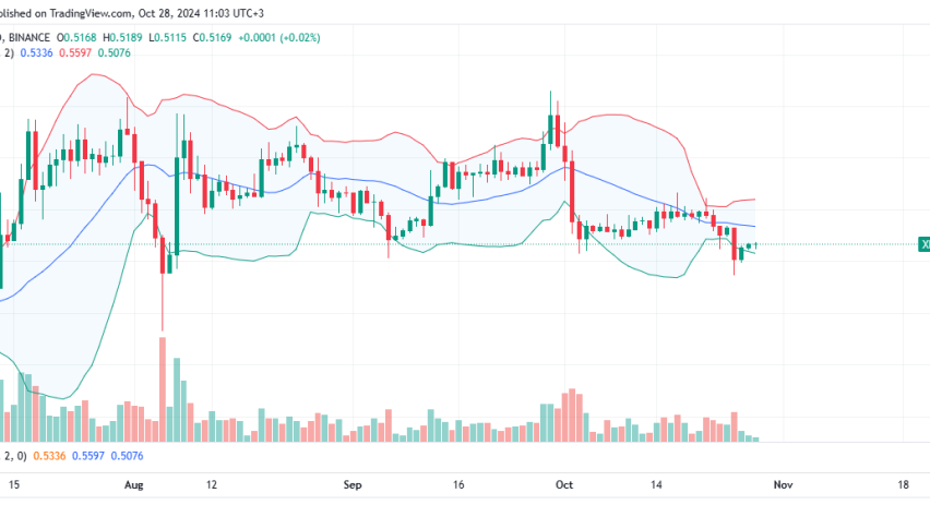 XRP Daily Chart for October 28