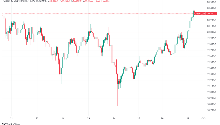 Daily Crypto Roundup: Record Inflows as Bitcoin Approaches $70,000 Amid Election Optimism