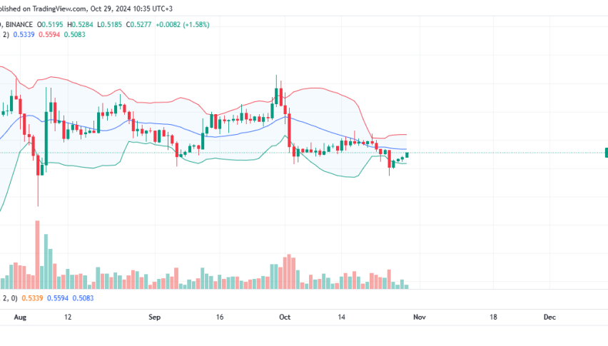 XRP Daily Chart for October 29
